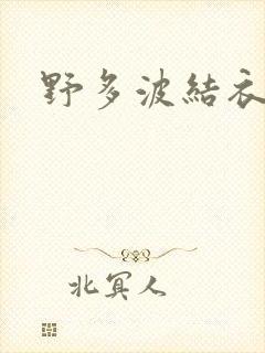 野多波结衣封面