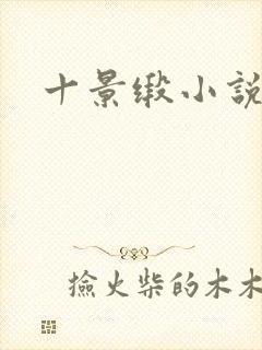 十景缎小说封面