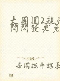 大团圆2亲情会闪闪发光免费