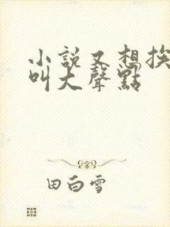 小说又想挨C了叫大声点封面