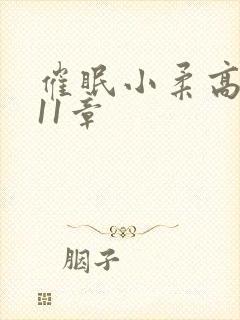 催眠小柔高达第11章封面