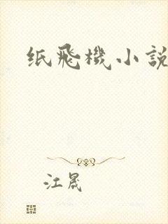 纸飞机小说