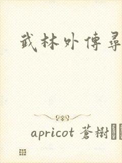 武林外传寻宝封面