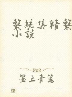 系统集精系统 小说