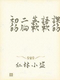 初二英语课代表的胸软软的