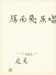 雁南飞原唱封面