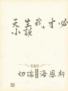 天生我才必有用小说