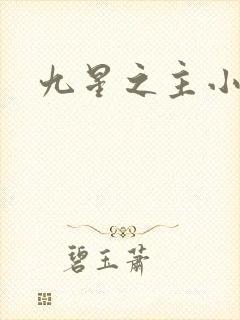 九星之主小说