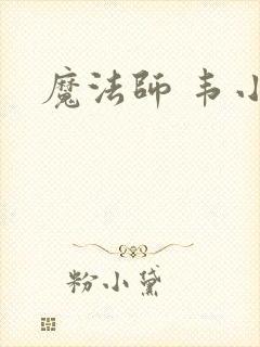 魔法师 韦小宝