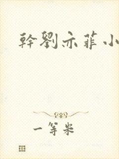 干刘亦菲小说封面