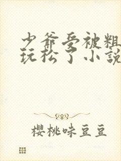 少爷受被粗汉H玩松了小说