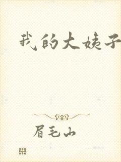 我的大姨子封面