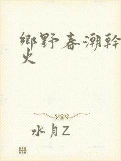 乡野春潮干柴烈火封面