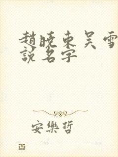 赵晓东吴雪晴小说名字