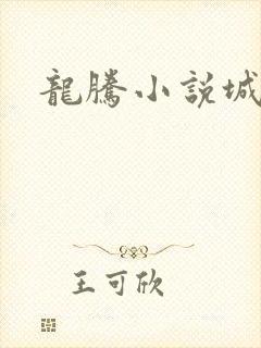 龙腾小说城封面