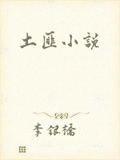 土匪小说