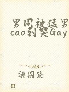 男同被猛男房东cao到哭Gay