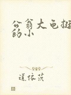 公翁大龟挺进我的小