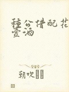 种公借配花间一壶酒