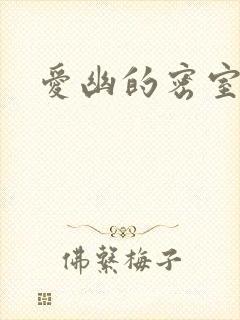 爱幽的密室小说封面