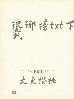 琅琊榜txt下载