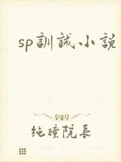 sp训诫小说封面