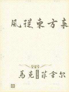 风从东方来封面