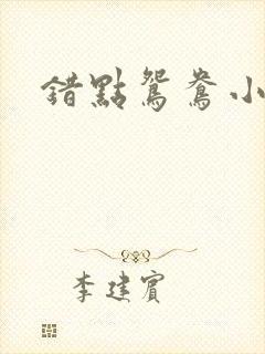 错点鸳鸯小说