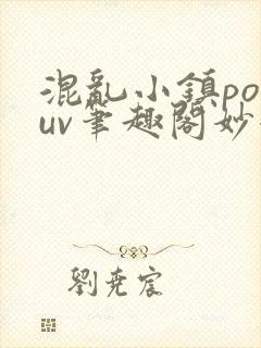 混乱小镇popuv笔趣阁妙妙