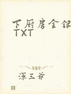 下厨房金银花露 TXT封面