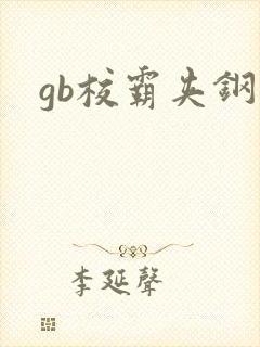 gb校霸夹钢笔封面