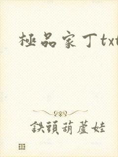 极品家丁txt