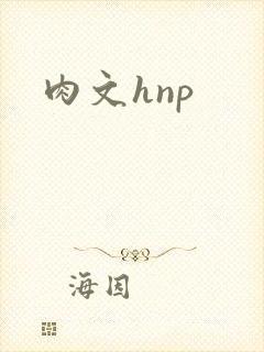 肉文hnp