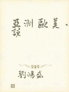 亚洲 欧美 小说封面