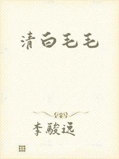 清白毛毛