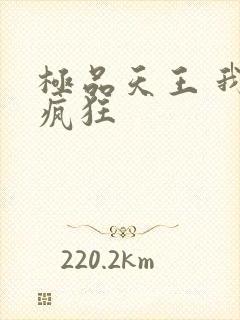 极品天王 我本疯狂