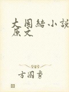 大团结小说阅读原文