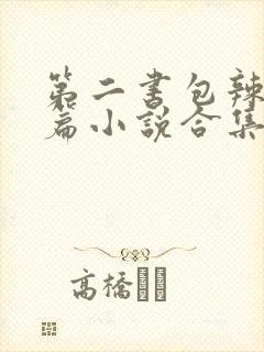 第二书包辣网短篇小说合集