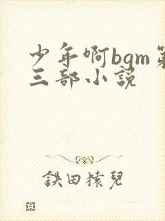 少年啊bgm第三部小说