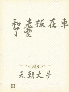 和老板在车里做了爱