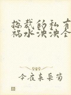 总裁的私有宝贝祸水泱泱全文阅读