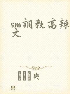 sm调教高辣h文
