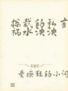 总裁的私有宝贝祸水泱泱封面