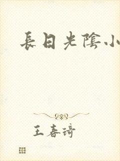 长日光阴小说