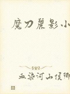 魔刀丽影小说