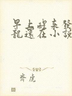 早上醒来发现巨龙还在小说