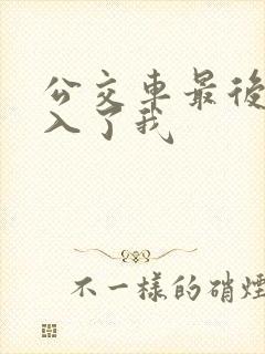 公交车最后一排入了我