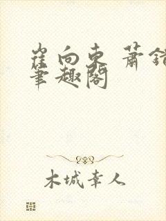 崔向东 萧错 笔趣阁