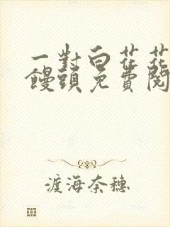 一对白花花的大馒头免费阅读