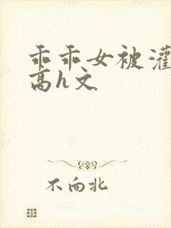 乖乖女被灌满精高h文